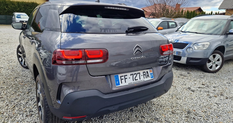 Citroen C4 Cactus cena 54900 przebieg: 35000, rok produkcji 2019 z Sulechów małe 154